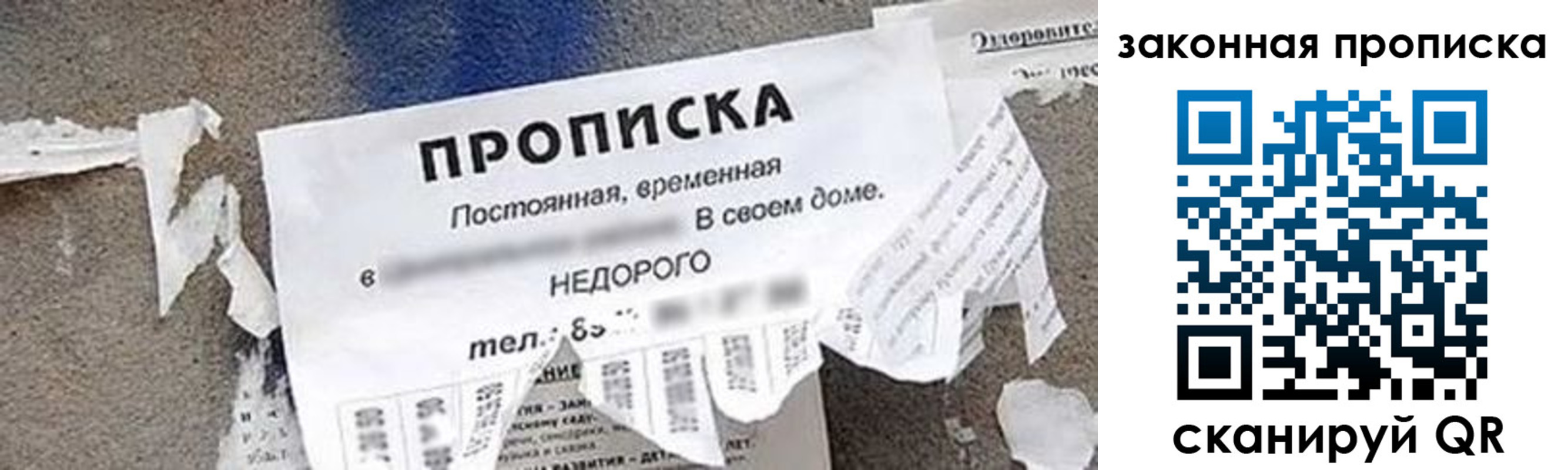 прописка иностранных граждан в Звенигороде